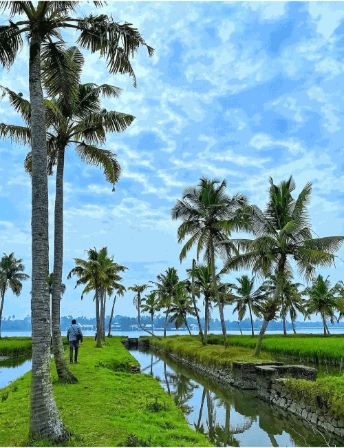 About Alappuzha / Alleppey 