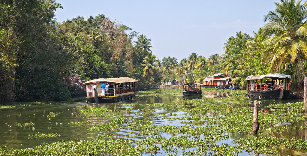 Exciting Activities to Try in Alleppey for the Adventure Junkie in You