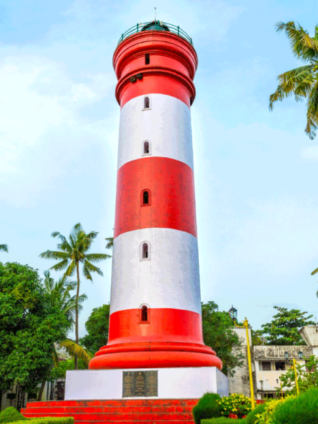 Exciting Activities to Try in Alleppey for the Adventure Junkie in You